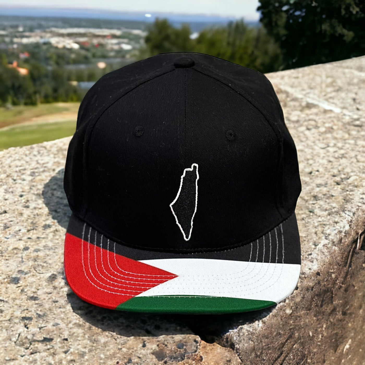 Palestine Flag Snapback Cap